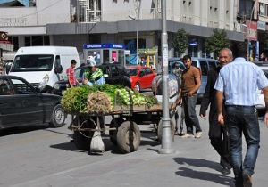 Trafiğe çıkan ceza yiyecek
